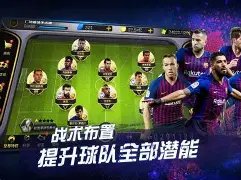 岁新星荣耀,加冕,阳光双冠荣,世界杯小组赛,2026世界杯,小组赛日程,球队信息,比赛城市