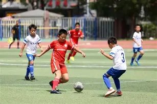 中国专家重,赴日本独立,监测核污水,世界杯小组赛,2026世界杯,小组赛日程,球队信息,比赛城市