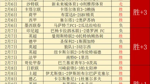 贝莱林膝伤缺阵，错过法国对阵葡萄牙一役